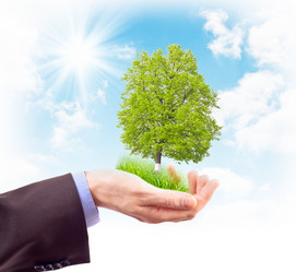 Similar image 911927