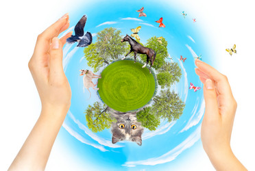 Similar image 911945