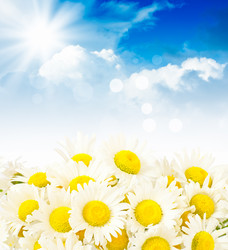 Similar image 912005