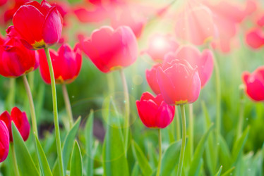 Similar image 912043