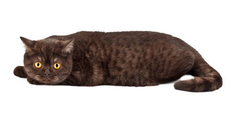 Similar image 912076