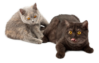 Similar image 912083