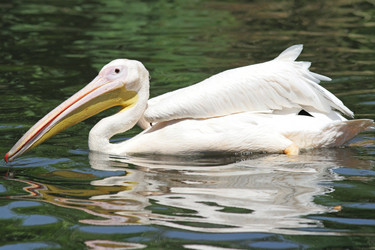 Similar image 912101