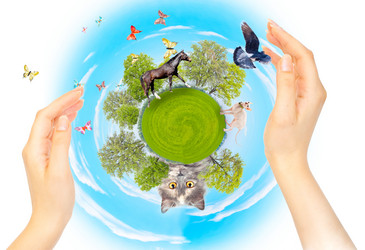 Similar image 912126