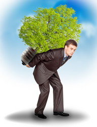 Similar image 912132