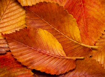 Similar image 912381