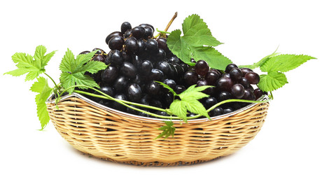 Similar image 912487