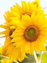 Similar image 912546