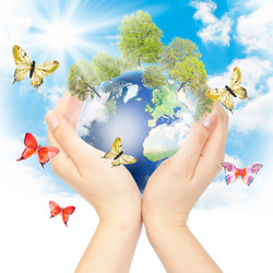 Similar image 912547