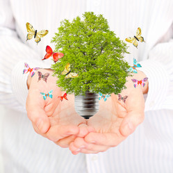 Similar image 912553