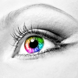 Similar image 912579