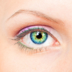 Similar image 912588