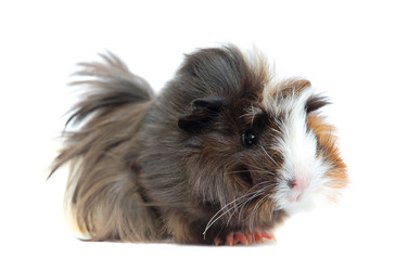 Similar image 912778