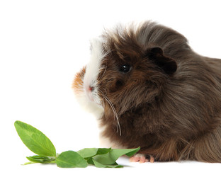 Similar image 912779