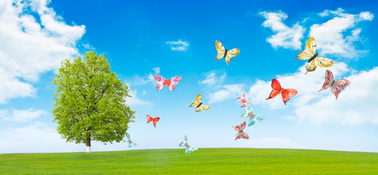 Similar image 912865