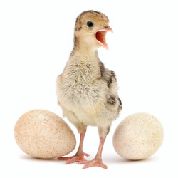 Similar image 912889