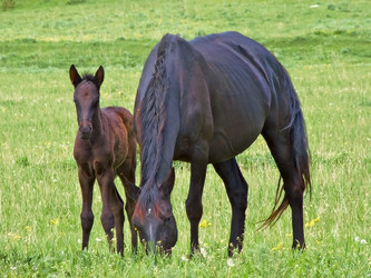 Similar image 912911