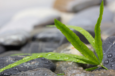 Similar image 912941