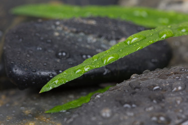 Similar image 912945