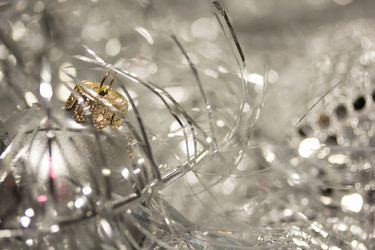 Similar image 912968