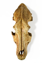 Similar image 913067