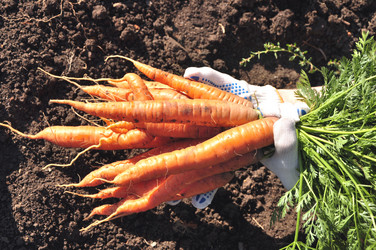 Similar image 913116