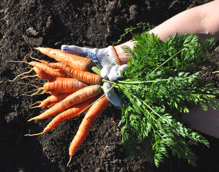 Similar image 913117