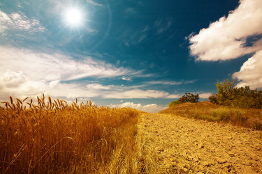 Similar image 913127