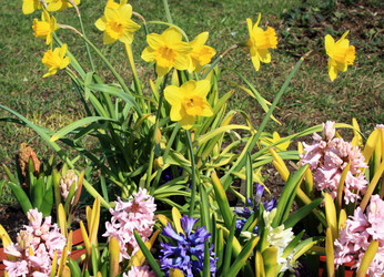 Similar image 913176