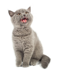 Similar image 913185