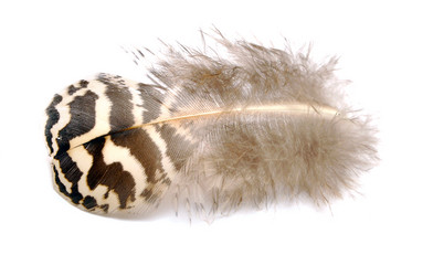 Similar image 913226