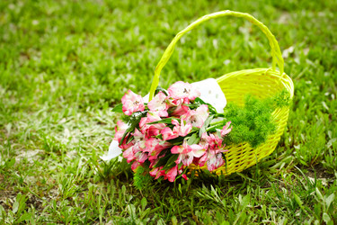 Similar image 913384