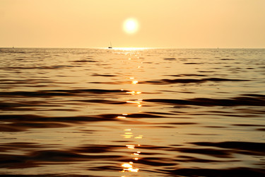 Similar image 913393