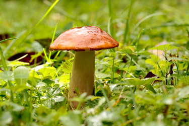 Similar image 913399