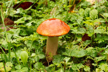 Similar image 913403