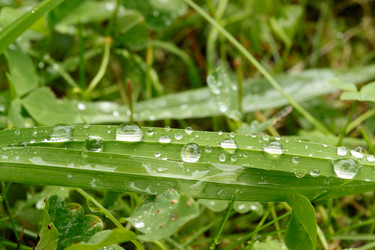 Similar image 913407