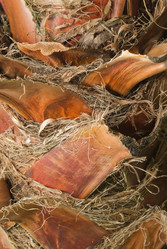 Similar image 913558