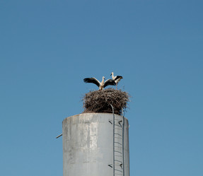 Similar image 913636