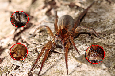 Similar image 913663