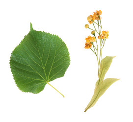 Similar image 913689