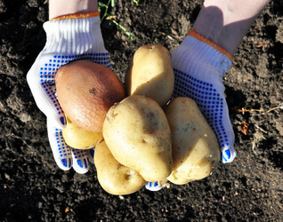 Similar image 913692