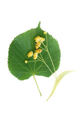 Similar image 913693