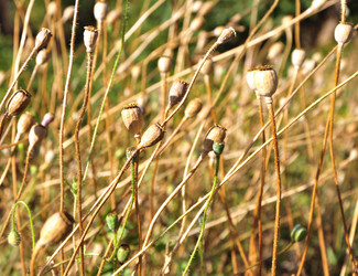 Similar image 913831