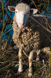 Similar image 913920