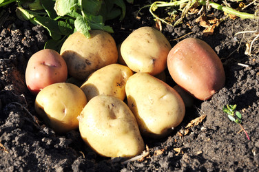 Similar image 913927