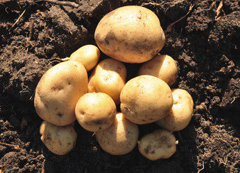 Similar image 913929