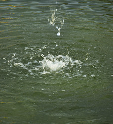 Similar image 914200