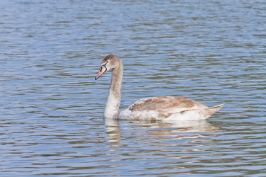 Similar image 914204