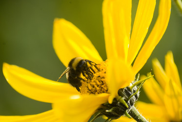 Similar image 914216