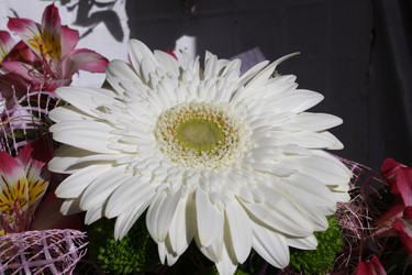 Similar image 914259